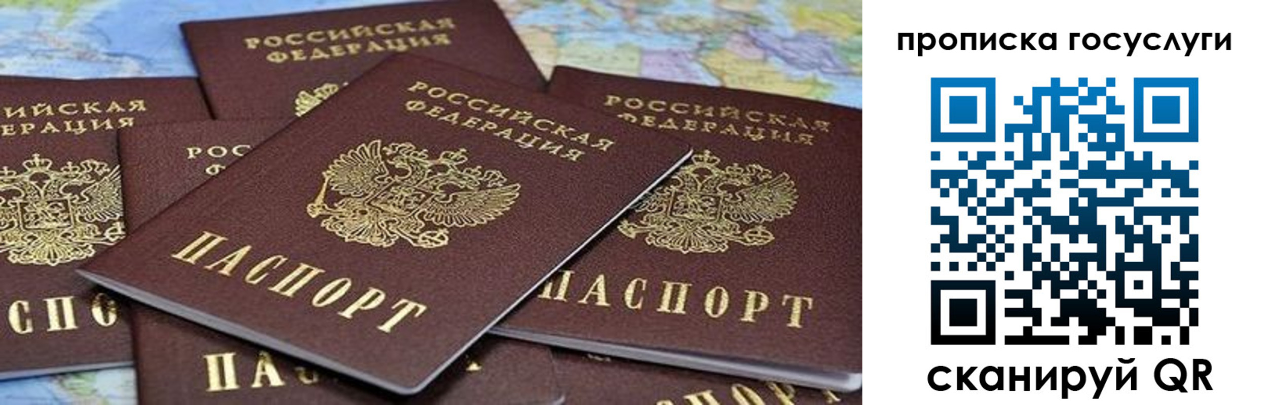 временная регистрация адрес в Чкаловске